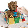 LINPOPUP LINPopUp, pop-up card bear, 3D card, greeting card for birthday, good luck, pop-up card nature, bear with individual numbers, N173