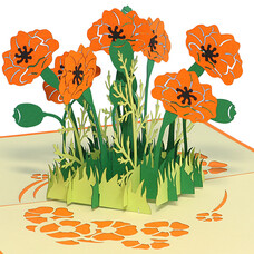 LINPOPUP Pop Up Card, 3D Card, Poppy Flower orange, N354