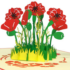 LINPOPUP Pop Up Card, 3D Card, Poppy Flower red, N355