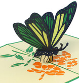 LINPOPUP Pop Up Card Butterfly, Birthday, Motherdays, Greetings card, Butterfly green, LIN 17657, LINPopUp®, N383