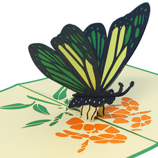 LINPOPUP Pop Up Card, 3D Card, Butterfly green, N383
