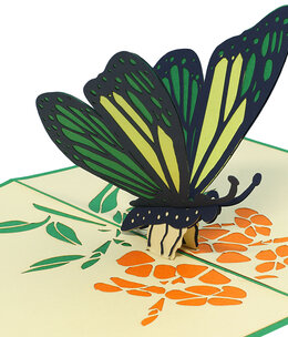 LINPOPUP Pop Up Card, 3D Card, Butterfly green, N383