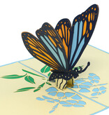 LINPOPUP Pop Up Card Butterfly, Pop Up Card Birthday, Motherdays, Greetings card, Butterfly blue, LIN 17656, LINPopUp®, N382