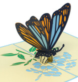 LINPOPUP Pop Up Karte Schmetterling, Geburtstag, Pop Up Geburtstagskarte, 3D Karten Natur, Geburtstagskarten, Muttertagskarten, Grußkarte Schmetterling, Blau, LIN 17656, LINPopUp®, N382