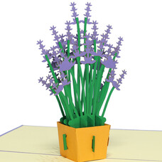 LINPOPUP Pop Up Card, 3D Card, Lavender, N51