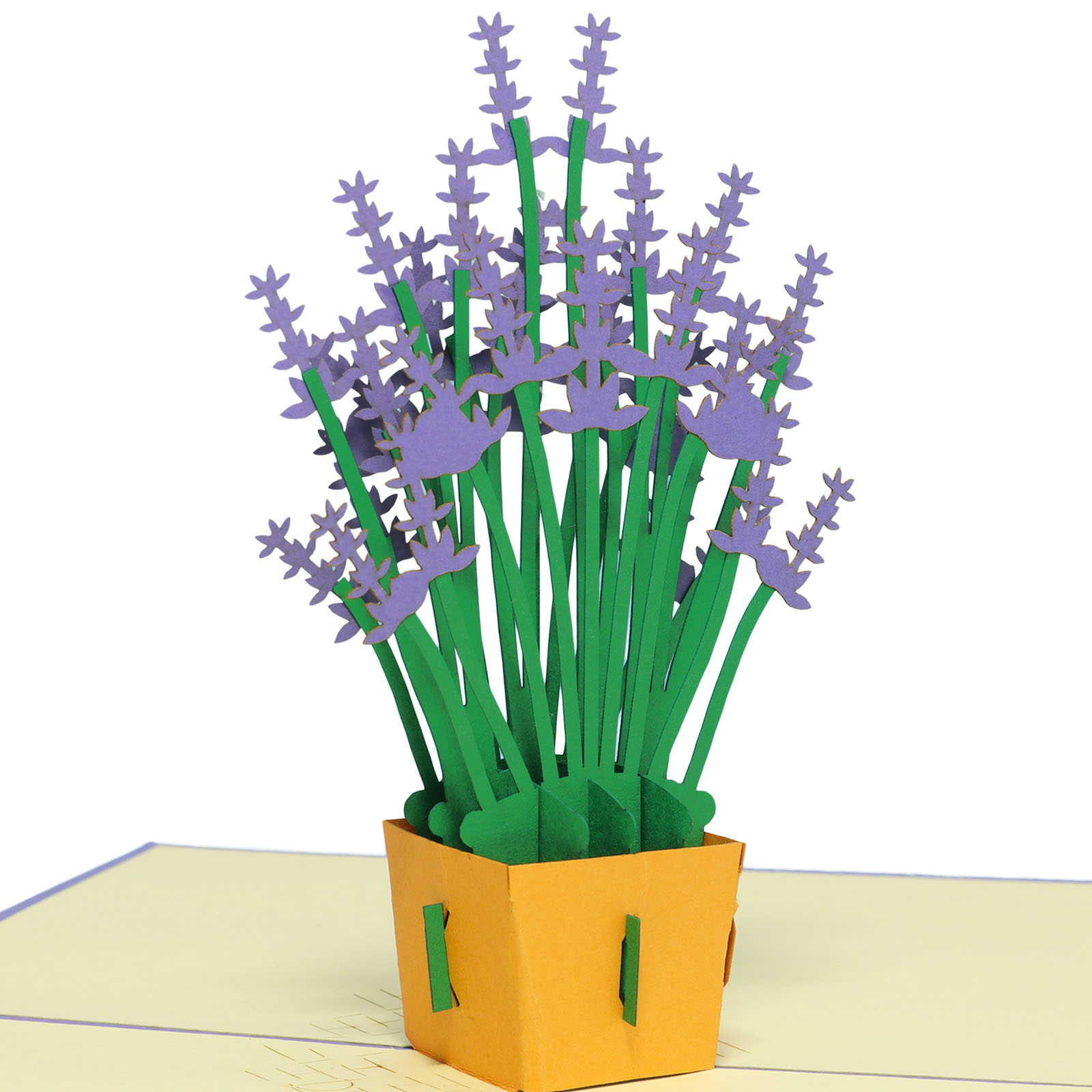 LINPOPUP Pop Up 3D Card, Birthday Card, Greeting Card, Mother's Day, Lavender, LINPopUp®, N51