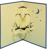 LINPOPUP Pop Up Card, 3D Card, Owl in the Night, LIN17701, LINPopUp®, N137