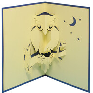 LINPOPUP Pop Up Card, 3D Card, Owl in the Night, N137