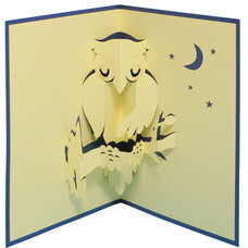 LINPOPUP Pop Up Karte, 3D Karte, Eule in der Nacht, N137