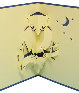 LINPOPUP Pop Up Card, 3D Card, Owl in the Night, N137