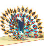 LINPOPUP Pop Up 3D Card, Birthday Card, Greeting Card, Peacock, LIN17240, LINPopUp®, N142