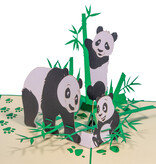 LINPOPUP Pop up card animals, birthday card, gifts, voucher zoo, panda bear, LINPopUp®, LIN17839,