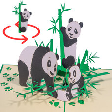 LINPOPUP Pop Up Card, 3D Card, Turning Panda Bear, Panda Family