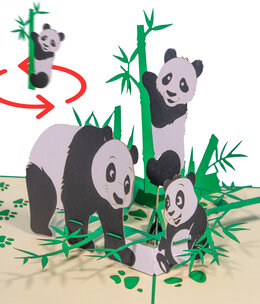 LINPOPUP Pop Up Karte, 3D Karte, Drehender Pandabär, Panda Famillie