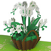 LINPOPUP Pop Up Card Flower, Birthday, 3D Greeting Cards Flower Card Folding Card Birthday Card Good Luck Get Well Soon, Wellness Voucher, Orchid, LIN 17614, LINPopUp®, N357