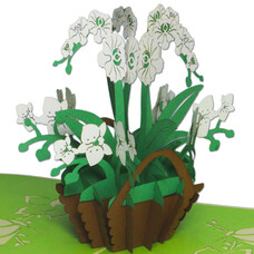 LINPOPUP Pop Up Card, 3D Card, Orchid white green large, N357