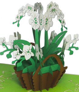 LINPOPUP Pop Up Card, 3D Card, Orchid white green large, N357