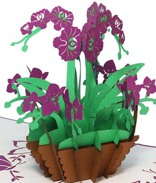 LINPOPUP Pop Up Karte, 3D Karte, Orchidee dunkellila groß, N358