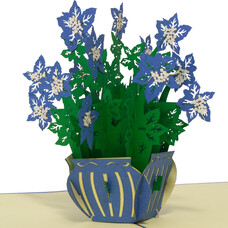 LINPOPUP Pop Up Karte, 3D Karte, Blumen, N391