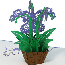 LINPOPUP Pop Up Karte, 3D Karte, Orchidee lila, N368