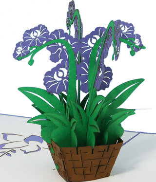 LINPOPUP Pop Up Card, 3D Card, Orchid purple, N368