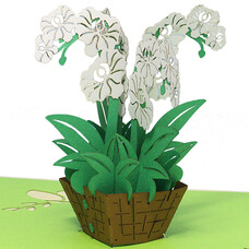 LINPOPUP Pop Up Karte, 3D Karte, Orchidee weiß, N361