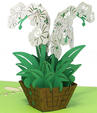 LINPOPUP Pop Up Card, 3D Card, Orchid white, N361