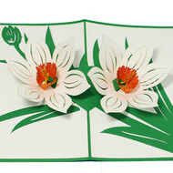 LINPOPUP Pop Up Card, 3D Card, Blossoms - Flowers White, N708
