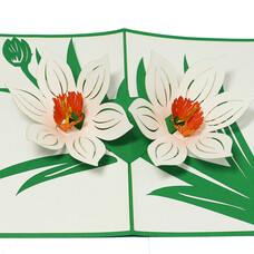 LINPOPUP Pop Up Card, 3D Card, Blossoms - Flowers White, N708