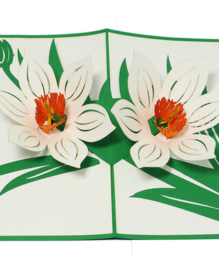 LINPOPUP Pop Up Card, 3D Card, Blossoms - Flowers White, N708