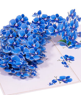 LINPOPUP Pop up card flowers, 3D card, flower card, Blue Orchid, N309