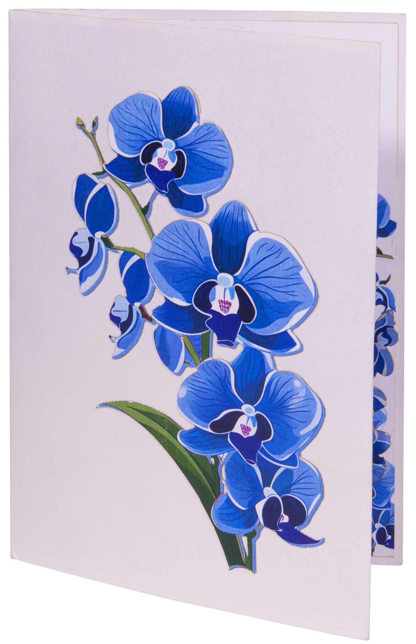 LINPOPUP Pop-Up Karte Blume - 3D Blumenkarte für Geburtstag, Muttertag, zum Abschied von Kollegin, Gute Besserung oder als Dankeskarte, als Geldgeschenk, Orchidee, N309