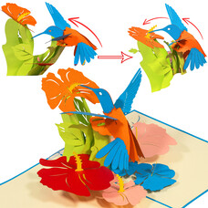 LINPOPUP Pop-up card flower - 3D birthday card with bird - Hummingbird