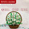 LINPOPUP Pop Up Card Flowers, Bouquet Pop-Up, Greeting Cards, Folded Card, Mother's Day Card, Farewell, Birthday Card, Get Well, Daisy Basket, LIN17763, LINPopUp®, N504