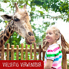 LINPOPUP LINPopUp® 3D Pop Up Karte Dschungeltiere Party – Lustige Geburtstagskarte für Kinder, Handgemachte Grußkarte mit Tieren & Ballons, inklusive Umschlag – Happy Birthday Karte, Zoo Gutschein, N227