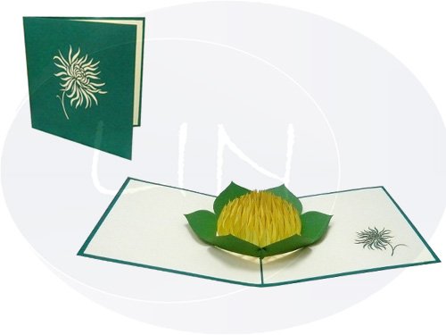 LINPOPUP Pop Up 3D Card, Birthday Card, Congratulations Card Gift Certificate, Yellow Flower, LINPopUp®, N53