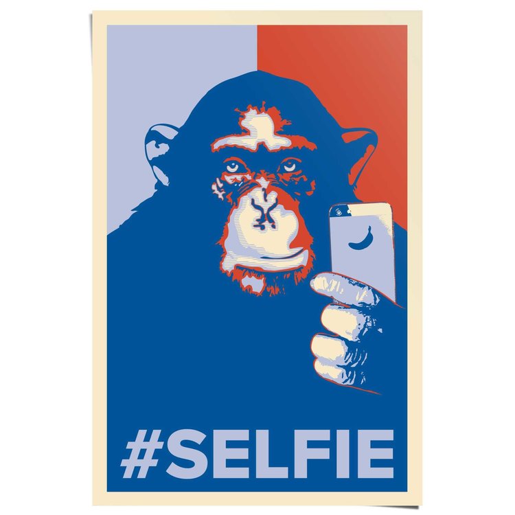 Selfie Monkey - Poster 61 x 91.5 cm