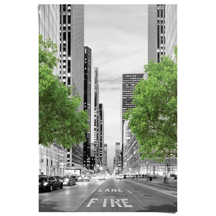 New York bomen - Poster 61 x 91.5 cm