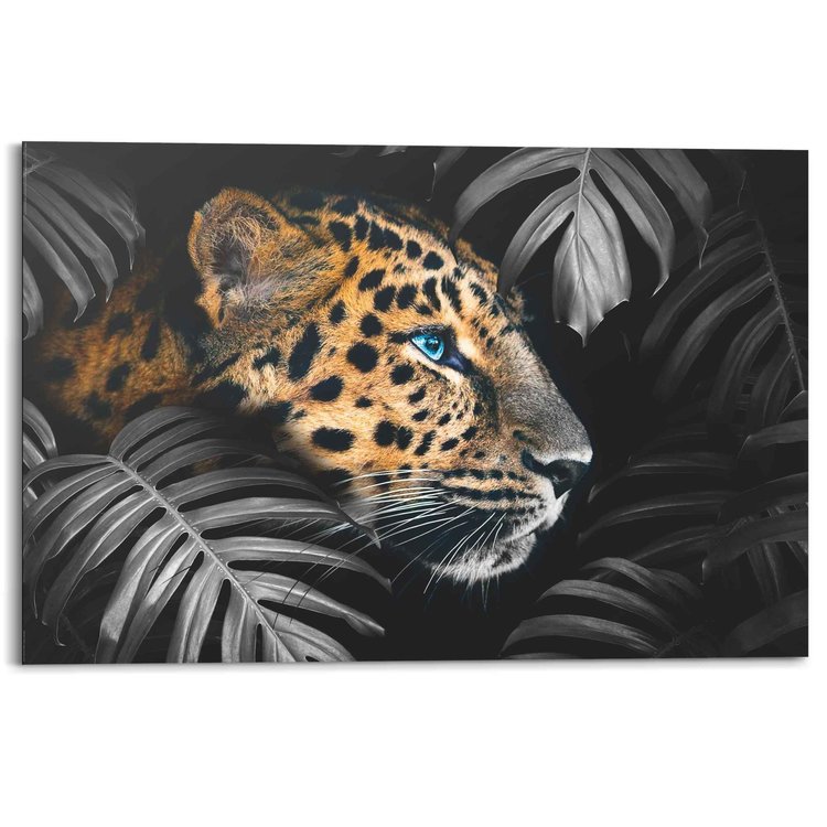 Luipaard In jungle | Schilderij - REINDERS!