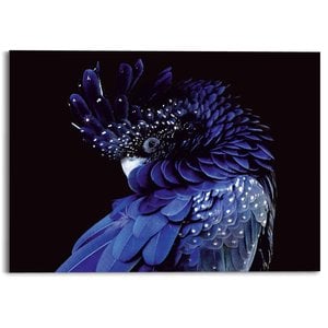 Acrylglas Blauwe papegaai