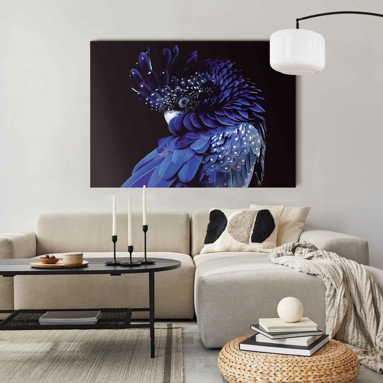 Reis Uitgaven Regelen Blauwe papegaai Fotografie - Kunst - Vogel | Acrylglas Blauw - REINDERS!