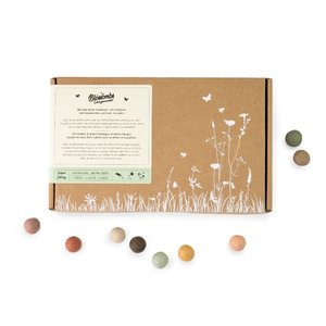Blossombs Boîte cadeau Large - boules de graines - 9 pièces