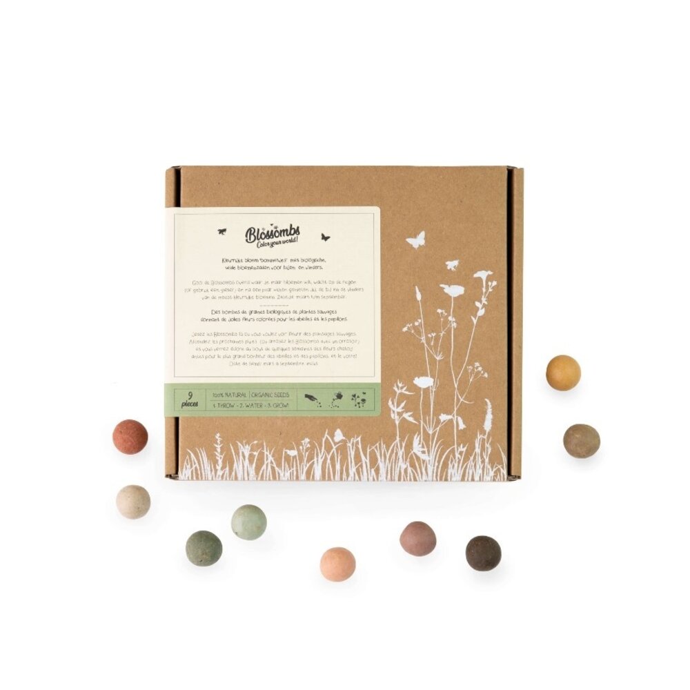 Coffret cadeau moyen boules de graines - 9 pièces