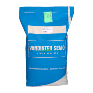 VDS Roquette - Eruca Sativa