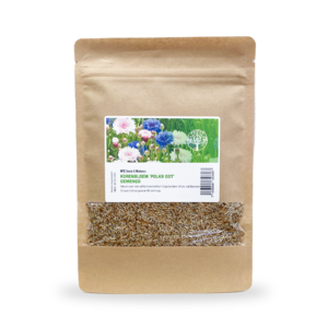 MRS Seeds & Mixtures Bleuet 'Polka dot' mixte