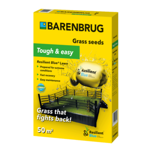 Barenbrug Resilient Blue®  Lawn - Pelouse de jeu