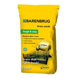 Barenbrug Resilient Blue®  Lawn - Pelouse de jeu