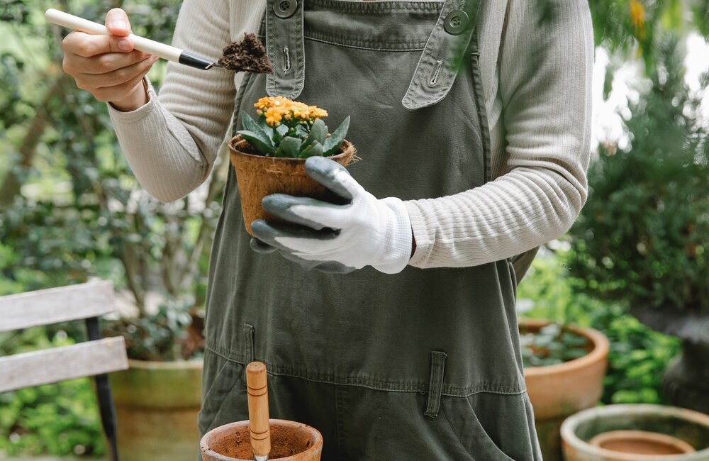 Calendrier des semis de fleurs