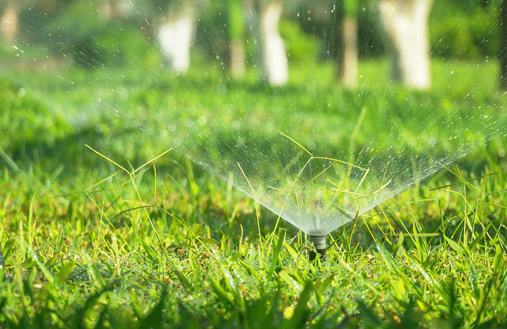 Avoir une belle pelouse sur un sol argileux, c'est possible