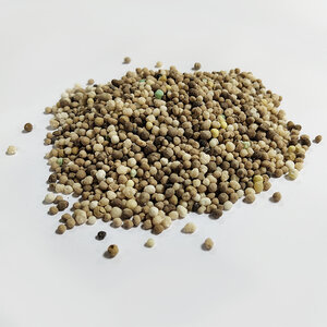 MRS Seeds & Mixtures Kickstart - Engrais pour gazon de printemps | 20 kg - 500 m²